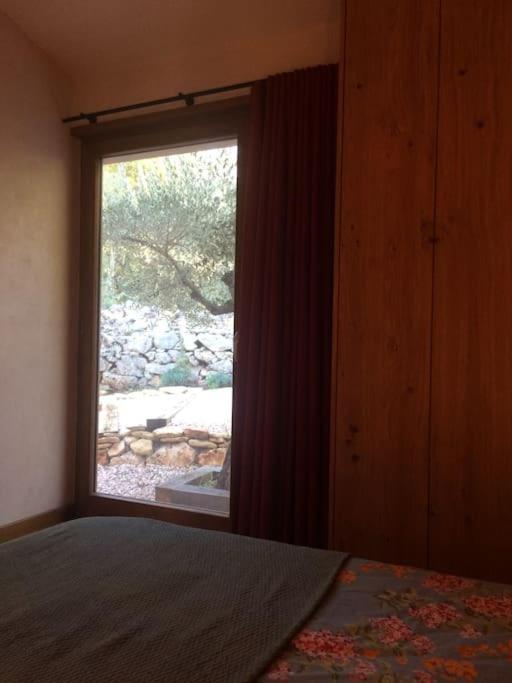 Lodge Les Oliviers Garéoult Екстериор снимка
