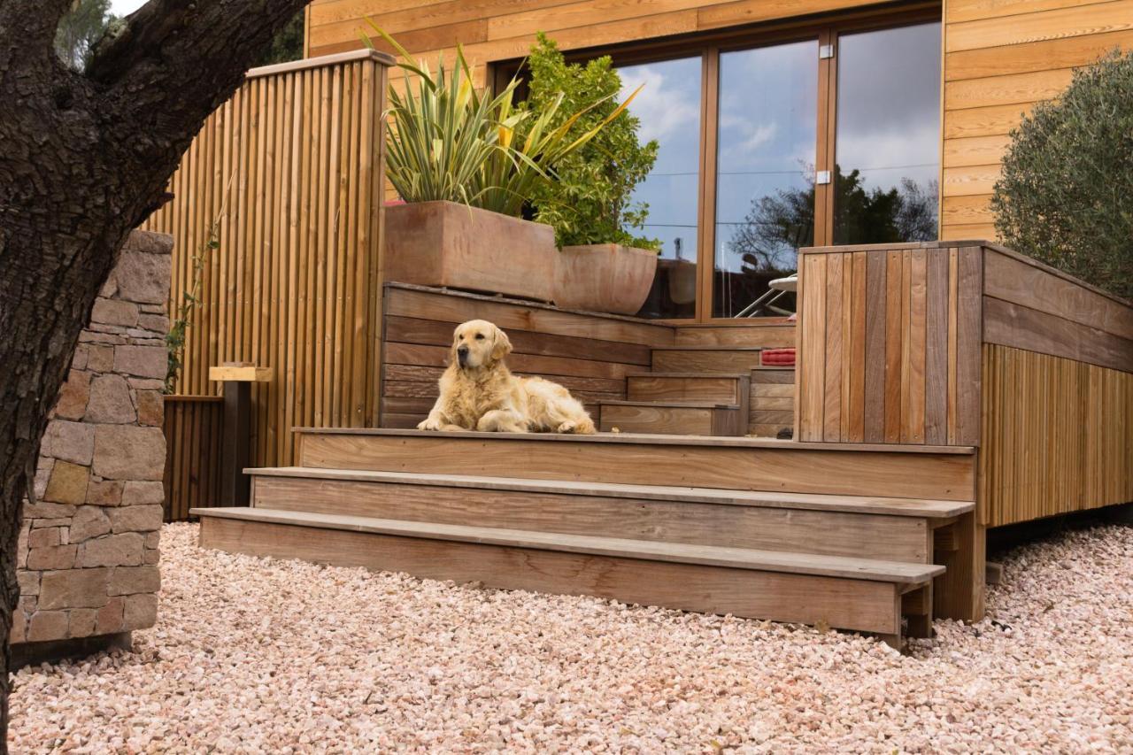 Lodge Les Oliviers Garéoult Екстериор снимка